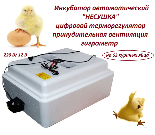 Инкубатор автоматический "Несушка" на 63 яйца, 220 В/12 В, цифровой ...