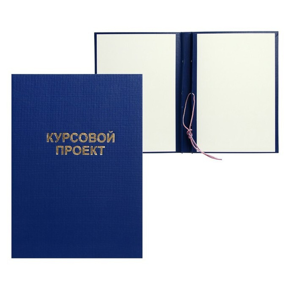 Папка для диплома A4 (21 × 29.7 см) - купить с доставкой по выгодным ...