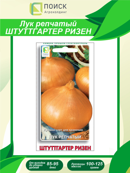 Лук ПОИСК Агрохолдинг Лук репчатый - купить по выгодным ценам в ...
