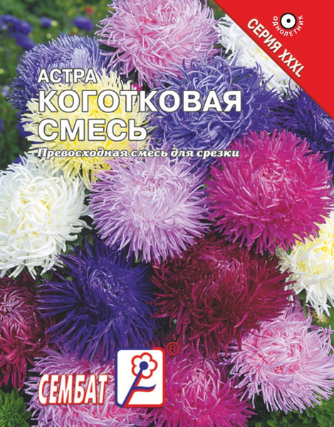Астры однолетние Сембат Астра_коготковая смесь - купить по выгодным ...