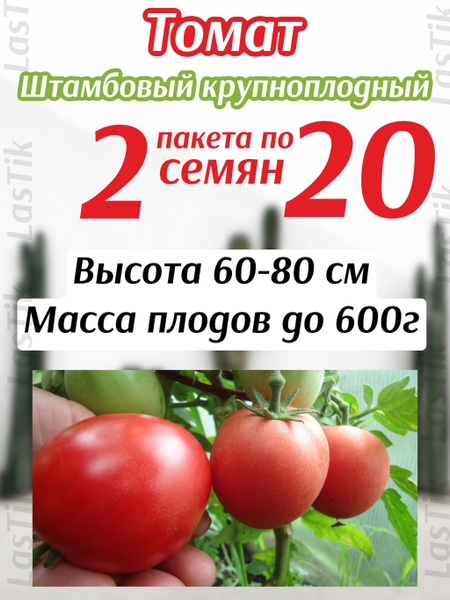 Томаты штамбовые описание сорта фото отзывы