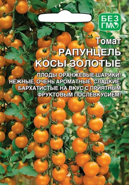 Фото томатов рапунцель золотые косы Томаты Уральский дачник Тор36694 - купить по выгодным ценам в интернет-магазине 