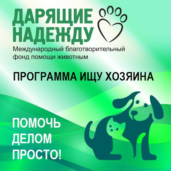 Подари надежду брянск
