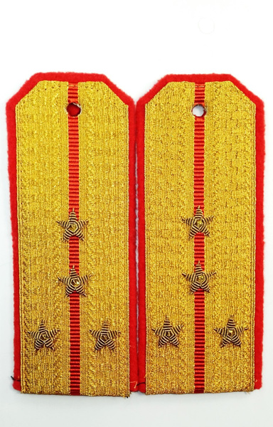 Погоны Министерства обороны (МО) парадные капитан, золотые , 1 красный ...