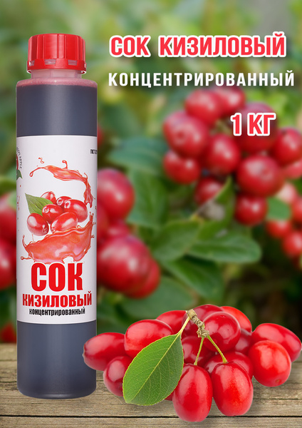 Сок концентрированный Кизиловый 1 кг - купить с доставкой по выгодным ...