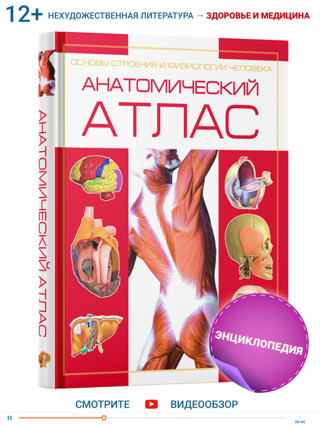 Книга Атлас анатомии человека, основы строения и физиологии | Борис ...