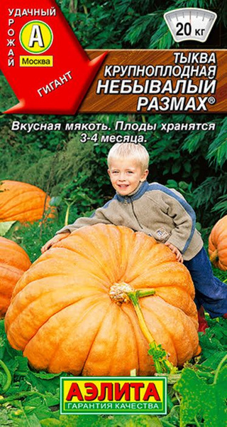 Тыквы Аэлита Тыквы - купить по выгодным ценам в интернет-магазине OZON ...