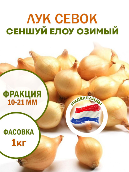 Луковицы Лук севок, Лук Holland Bulb Farms купить по выгодной цене в ...