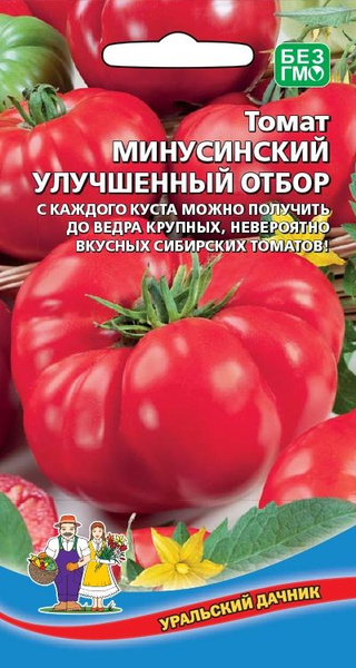 Помидоры минусинские описание сорта фото отзывы Томаты Уральский дачник Огурец Герман F1 УД_малиновый - купить по выгодным ценам