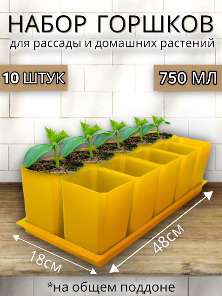 Набор горшков для цветов Пеликан, 10 штук - жёлтые - купить с доставкой ...