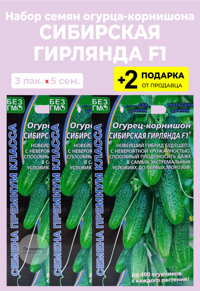 Огурцы Проверенные семена Сибирская гирлянда - купить по выгодным ценам ...