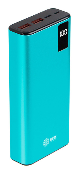 Повербанк (powerbank) (Power Bank) Cactus CS-PBFSYT-20000_2523 озон ...