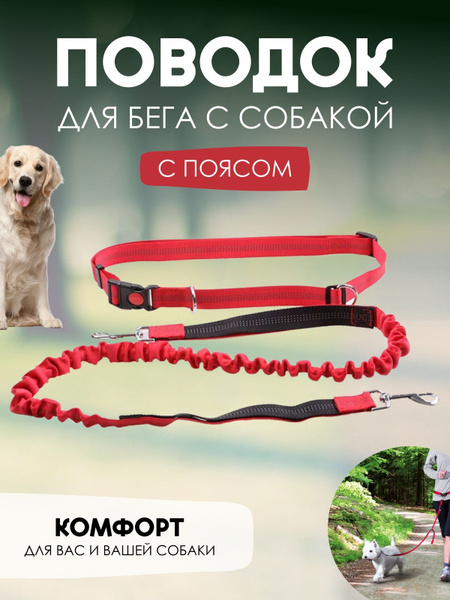 Поводок для собак средних пород, Big Jungle, поводок с поясом для ...