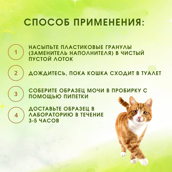 Набор для сбора мочи у кошек без консерванта, мочесборник для анализов ...