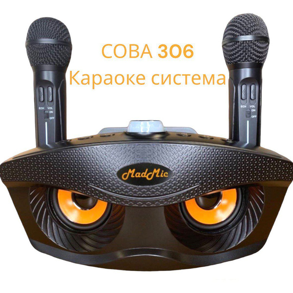 Портативная караоке система "Сова"306 с двумя радиомикрофонами (черная ...