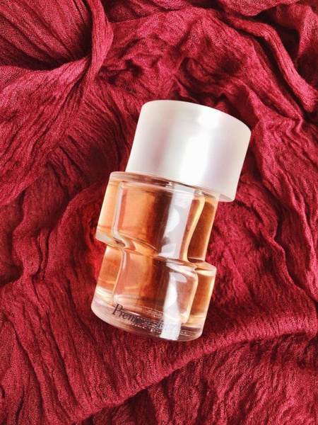 passagerare fosterföräldrar blekna nina ricci parfum 30 ml genomskärning vattenf