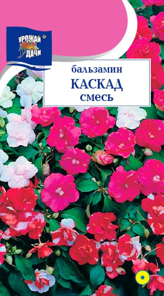 Бальзамины комнатные Урожай удачи УУ бальзамины АССОРТИ_1 - купить по ...