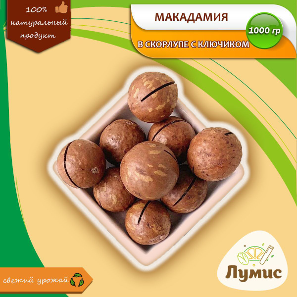 Орех Макадамия в скорлупе неочищенный, с ключом, Размер калибра 5-А ...