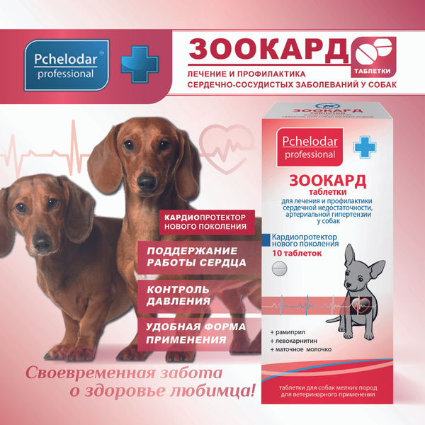 Зоокард для кошек