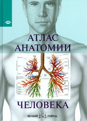 атлас анатомии человека - купить с доставкой по выгодным ценам в ...