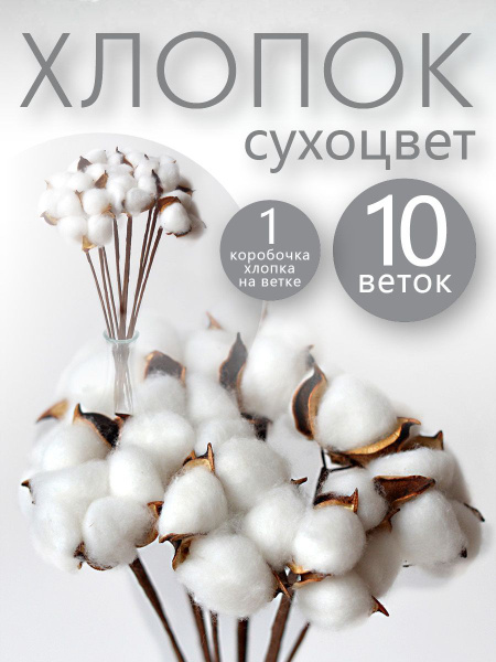 Декоративный цветок хлопок сухоцвет, высота 35 см, d - 5 см, комплект ...