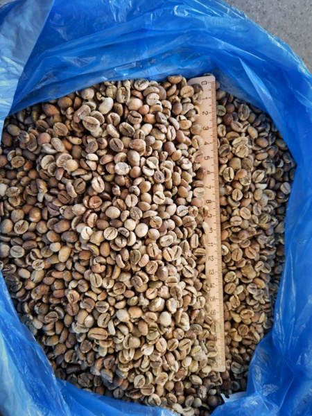 Кофе Робуста, зелёный в зернах,1 кг, необжаренный, Уганда, Robusta 18 ...