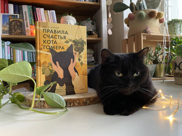 Правила счастья кота Гомера. Трогательные приключения слепого кота и ...