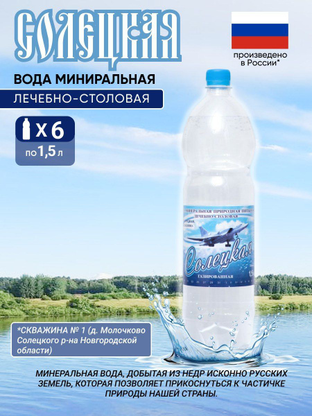 Солецкая минеральная вода газированная, 1,5 л х 6 шт. - купить с ...