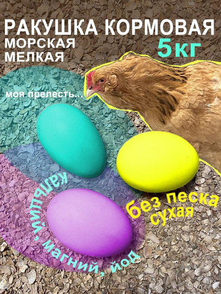 Ракушка морская кормовая добавка для птиц, кур, несушек, попугаев ...