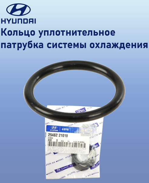 7701071156 кольцо уплотнительное. 90467301 кольцо уплотнительное. Кольцо уплотнительное ямз 536. Кольцо уплотнительное патрубка интеркулера спринтер ом651. Прокладка плоская 1.