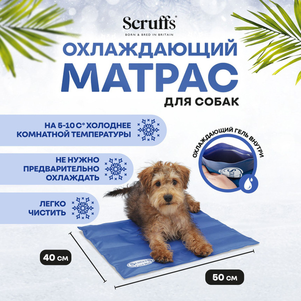 Scruffs self cooling on sale mat