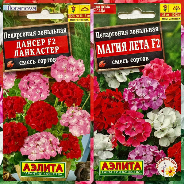 Пеларгонии (Герань) Агрофирма Аэлита Семена многолетних цветов для дома ...