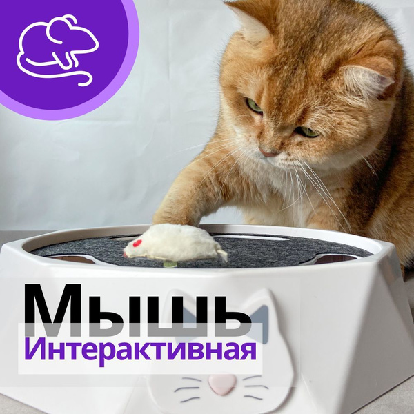 Интерактивная игрушка, электрическая заводная мышь для кошек - купить с ...