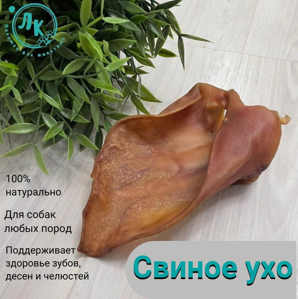 Свиные ушки, натуральное лакомство для собак 1 шт - купить с доставкой ...