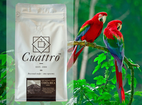 Кофе в зернах CUATTRO Costa-Rica (Коста-Рика) 500 г, арабика - купить с ...