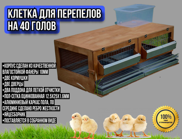 КП-40 клетка для перепелов - купить с доставкой по выгодным ценам в ...