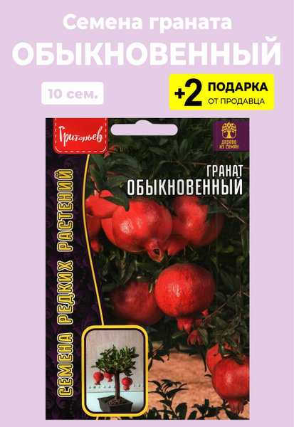 Гранат For Home And Family Гранат "Обыкновенный"_зеленый - купить по ...