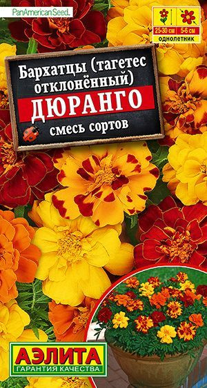 Бархатцы Аэлита Бархатцы - купить по выгодным ценам в интернет-магазине ...