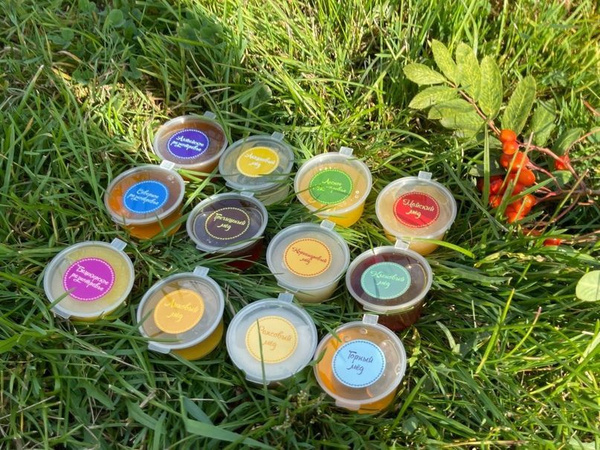 Дегустационный набор мёда - купить с доставкой по выгодным ценам в ...