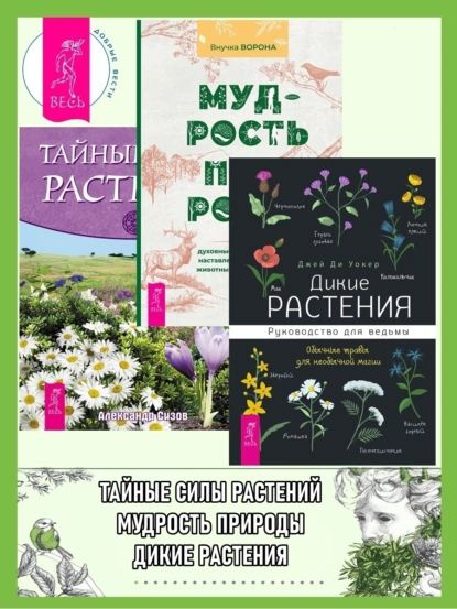Дикие растения: Руководство для ведьмы: Обычные травы для необычной ...