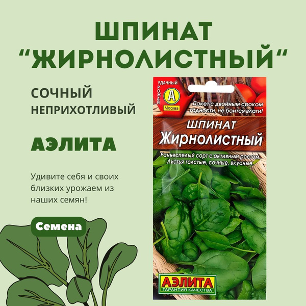 Шпинат Агрофирма Аэлита ШпинатАэлита_1_зеленый - купить по выгодным ...
