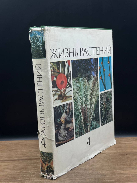 Жизнь растений. Энциклопедия. Том 4 - купить с доставкой по выгодным ...