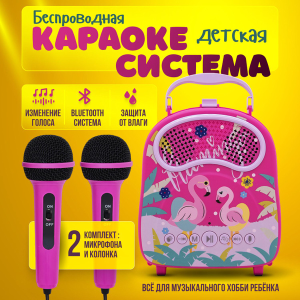 Детская караоке система / караоке колонка с двумя микрофонами Flamingo ...