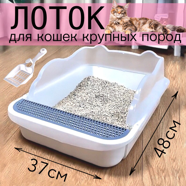 Лоток для кошек, кошачий туалет с высоким бортиком купить на OZON по ...