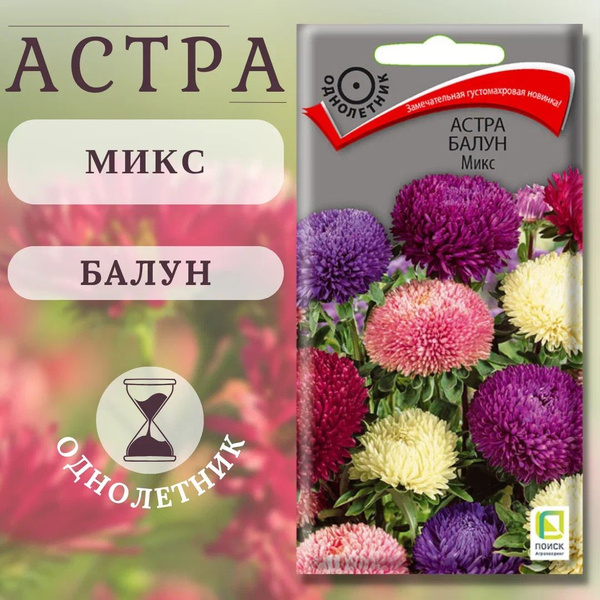 Астры однолетние ПОИСК Агрохолдинг astra_желтый_голубой_бордовый ...