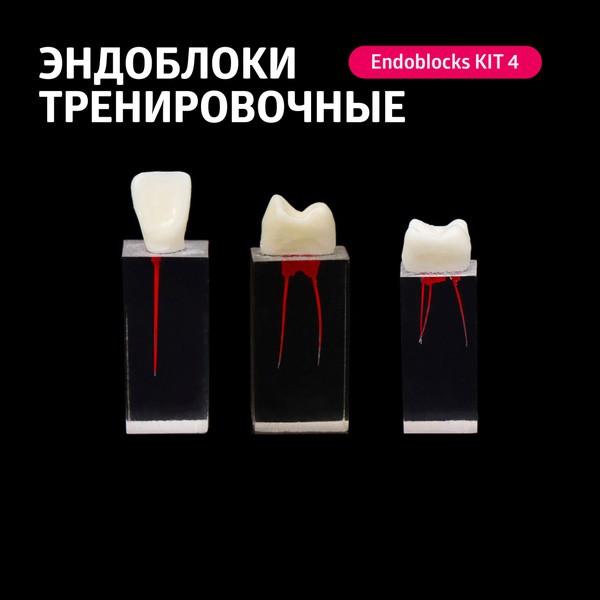 Набор тренировочных эндоблоков Study Endoblocks Kit 4 (Endo Training ...