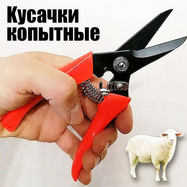 Ножницы для обрезки копыт коз овец / инструмент, секатор, кусачки ...