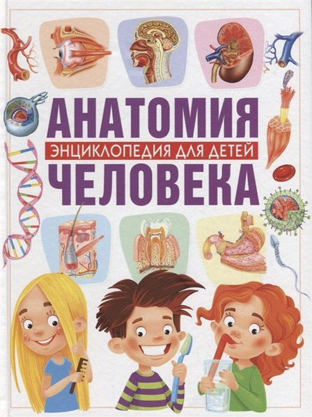Анатомия человека. Энциклопедия для детей - купить с доставкой по ...