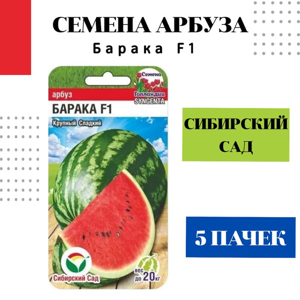 Арбуз, Барака (арбуз) 1000с семена купить с доставкой в интернет-магазине ПрофСе