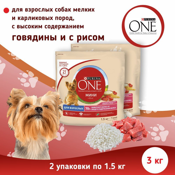 Сухой корм Purina ONE МИНИ для взрослых собак мелких и карликовых пород ...